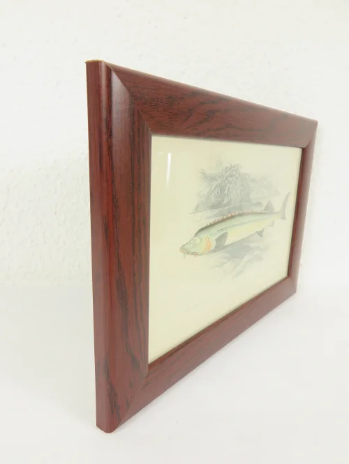 Bild 2 von um 1860 Bild Lotte Fisch Stich/Radierung