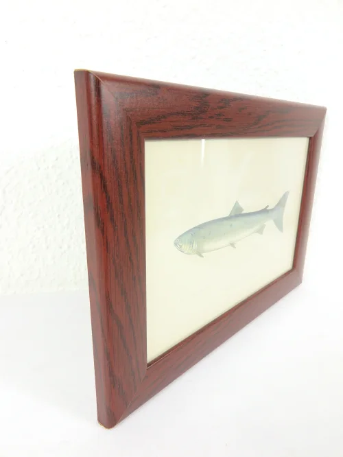 Bild 2 von Radierung/Stich Lachs von 1876