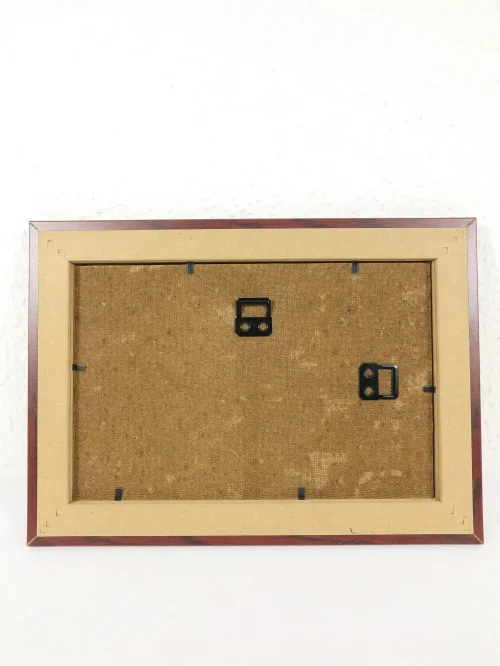 Bild 5 von Radierung/Stich Lachs von 1876