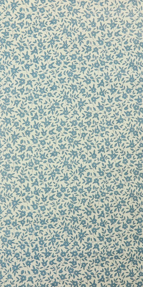 Wallpaper Kapila 2
