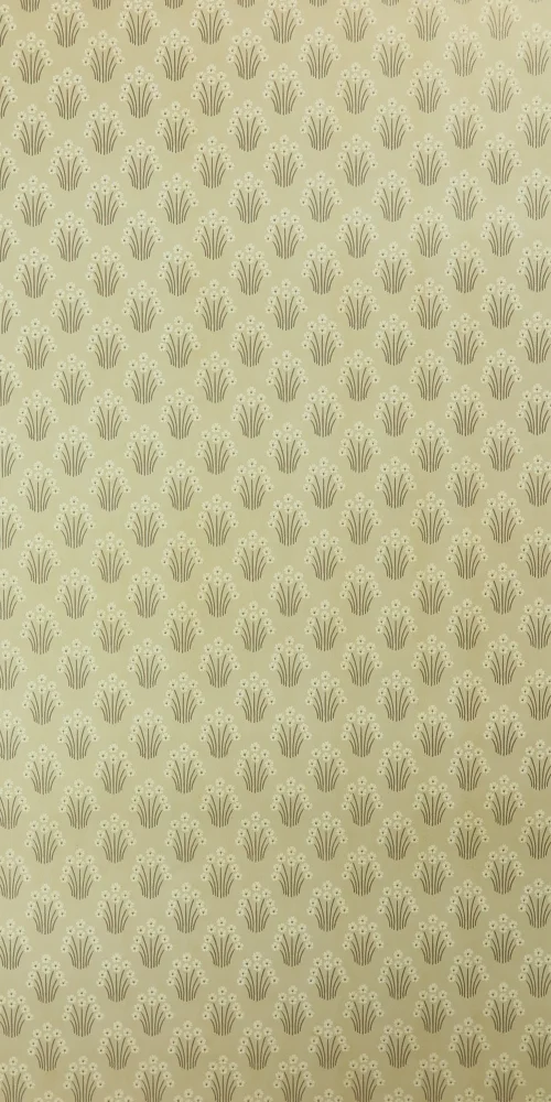 Wallpaper Kyle