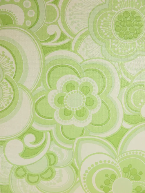 Bild 3 von Wallpaper Chlorella