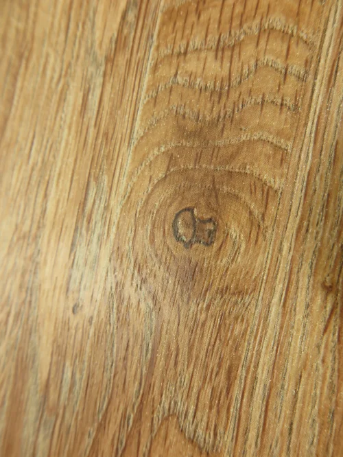 Bild 4 von Wallpaper Joel