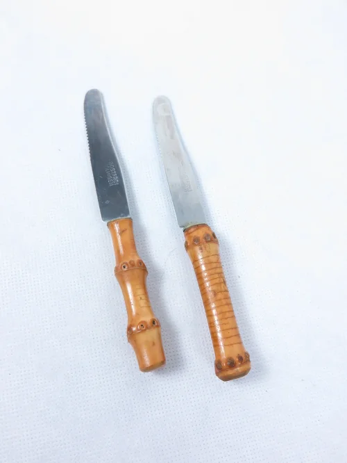 Bild 4 von set of 50 fruit knives in holder, bamboo fruit knives