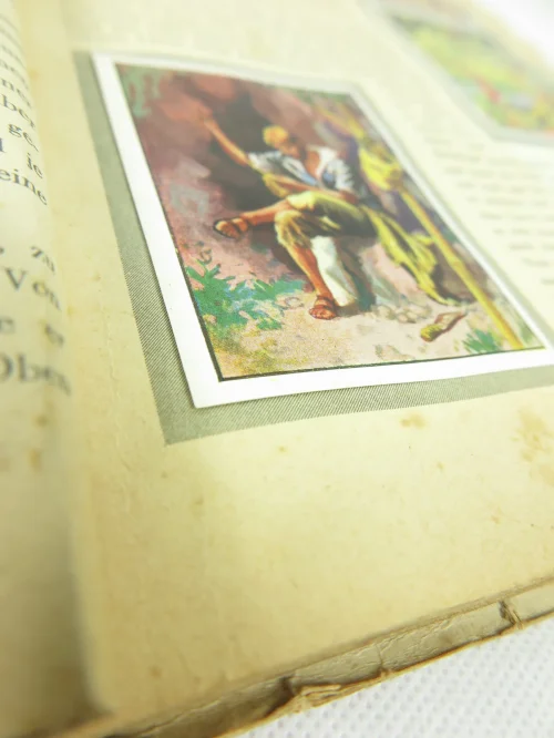 Bild 7 von cuadros de coleccionista de cigarrillos de los años 40 Robinson Cruso