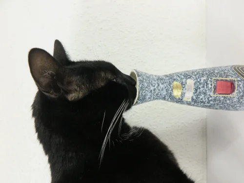 Bild 7 von 50er Vase Scheurich Keramik