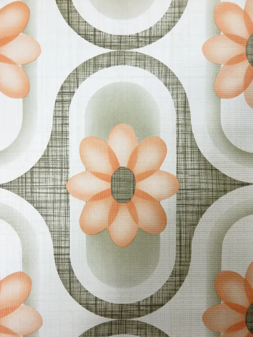 Bild 3 von Seracruse wallpaper