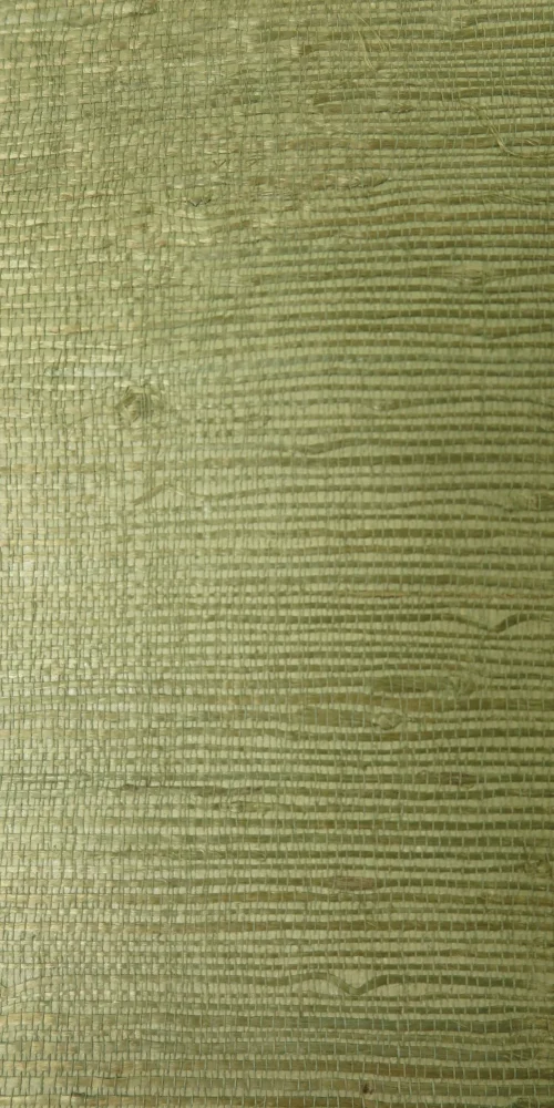 Chloropilla wallpaper