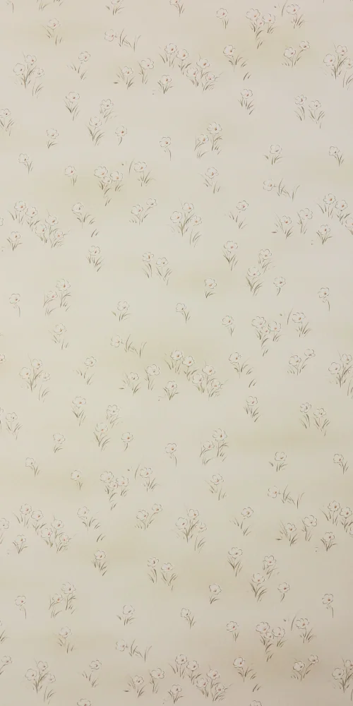 Tapete Gänseblümchen 2