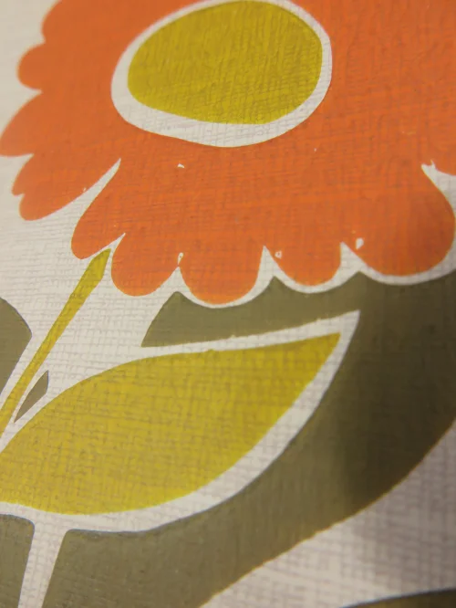 Bild 4 von Odilia Orange wallpaper