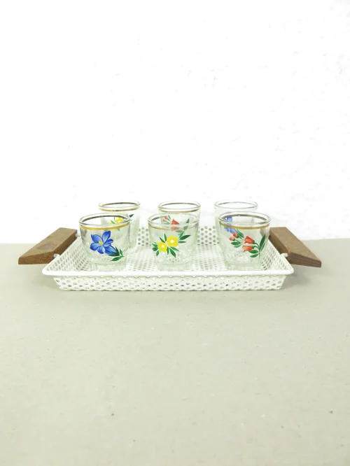 50 shot glasses, schnapps set with tray, Alpine look