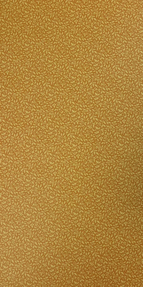 Vinyl Tapete Bella Ocker