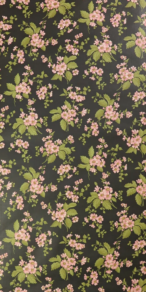 Pink aster wallpaper